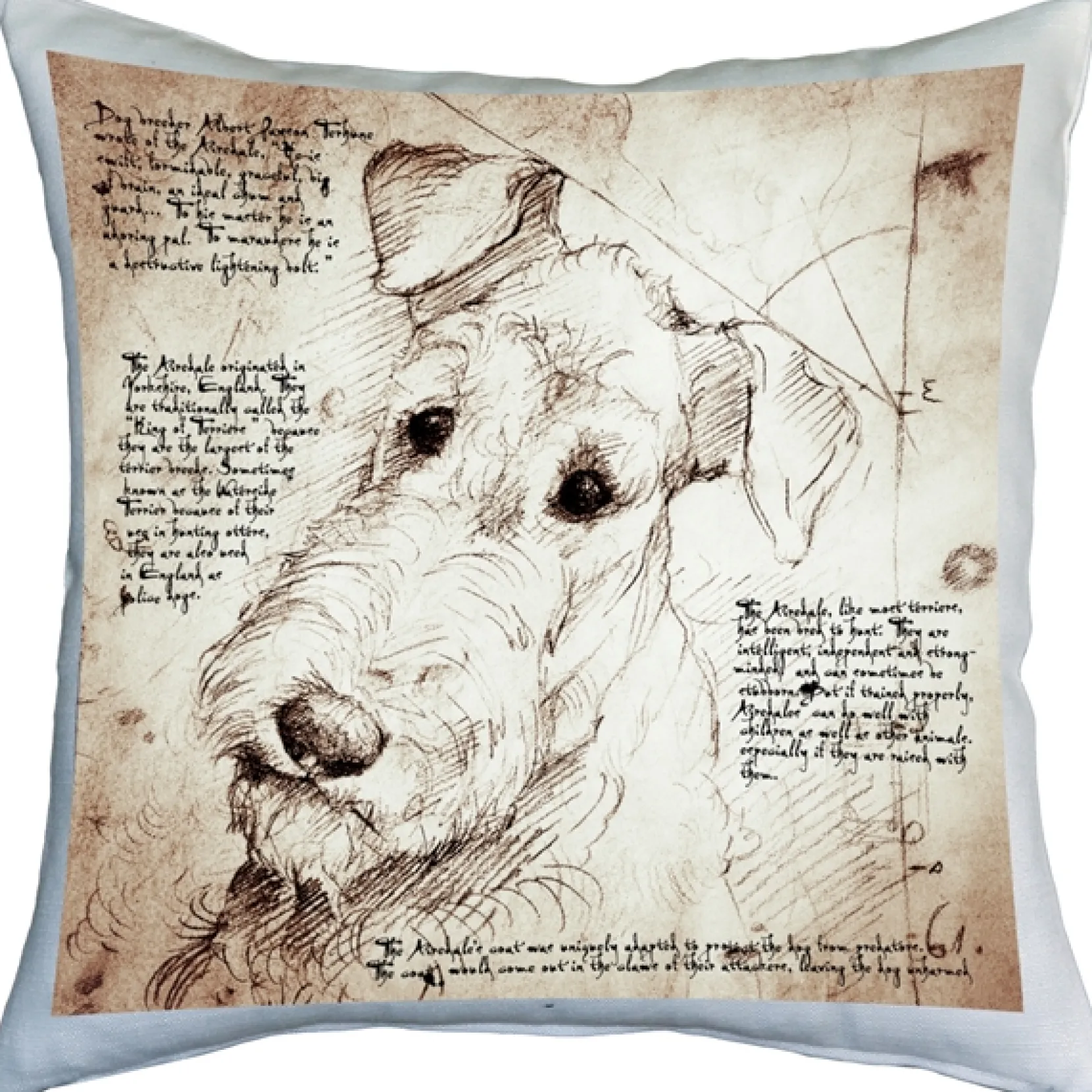 Airedale Terrier 17x17 Dog Pillow