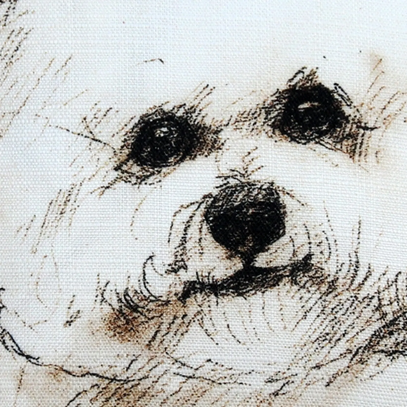 Bichon 17x17 Dog Pillow