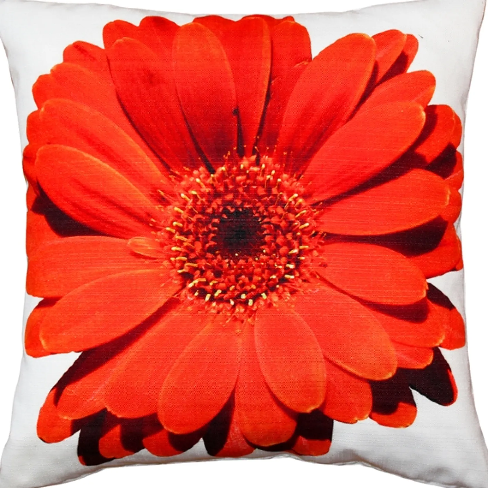 Bold Daisy Flower Red Throw Pillow 19x19