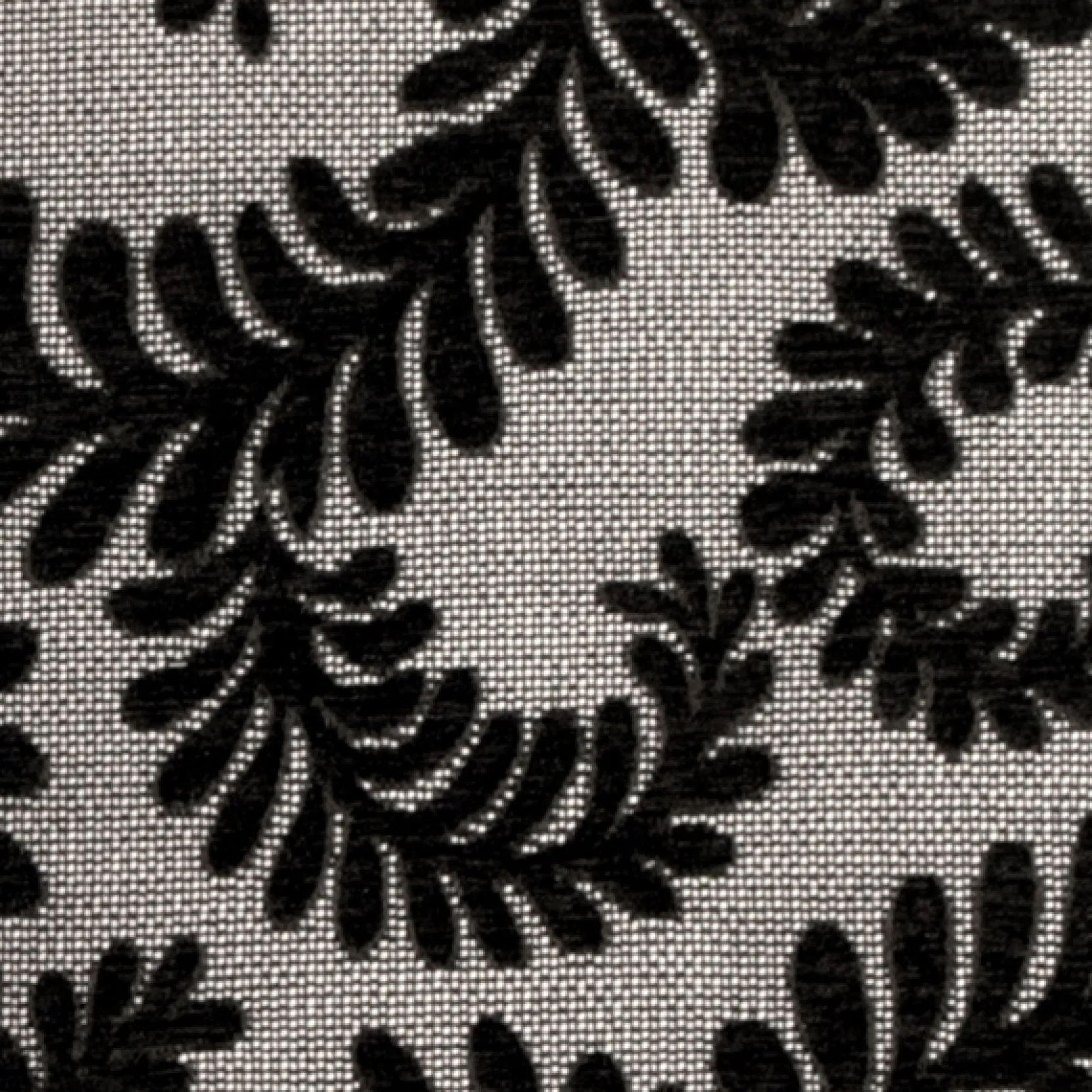 Brackendale Ferns Black Throw Pillow