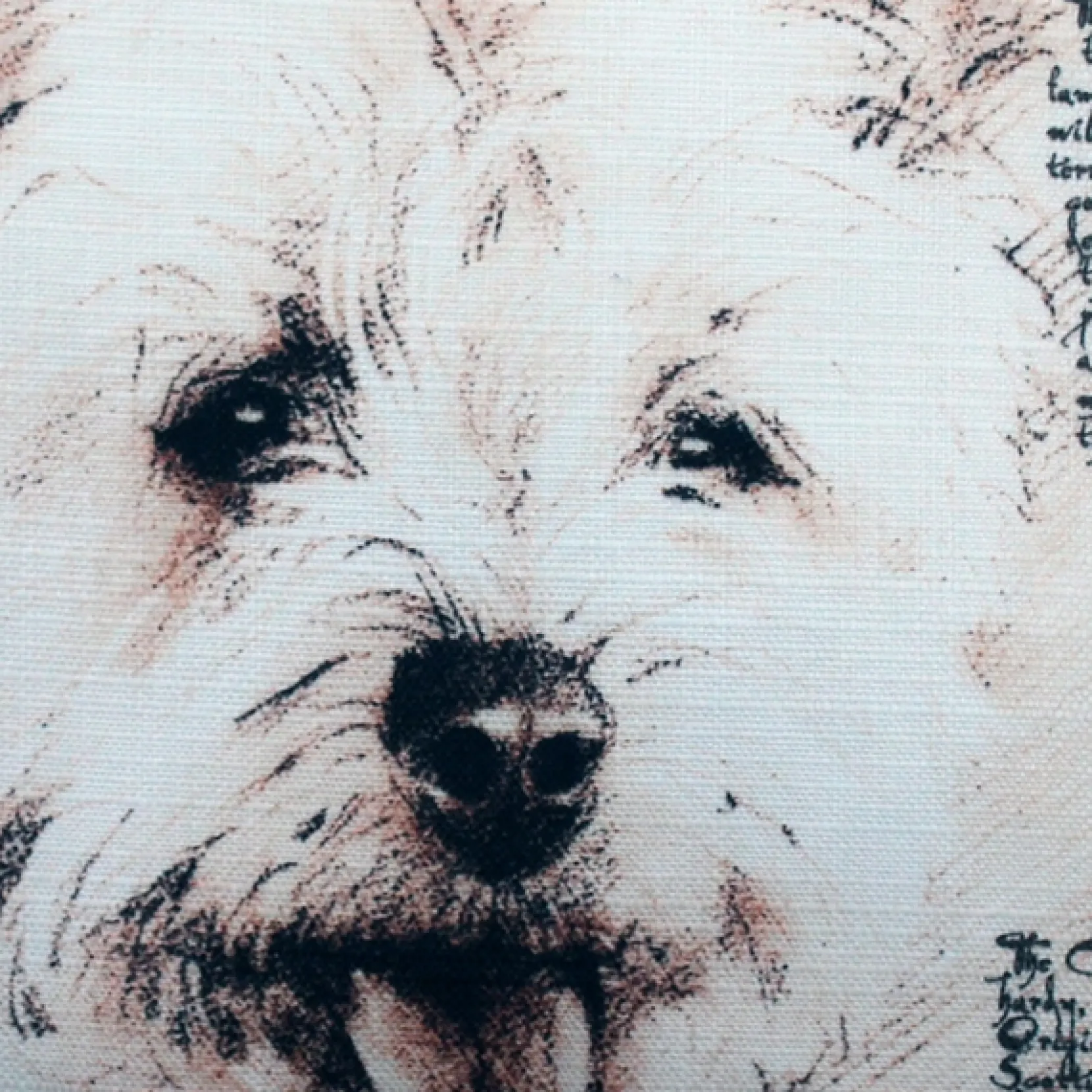 Cairn Male Dog Pillow 17x17
