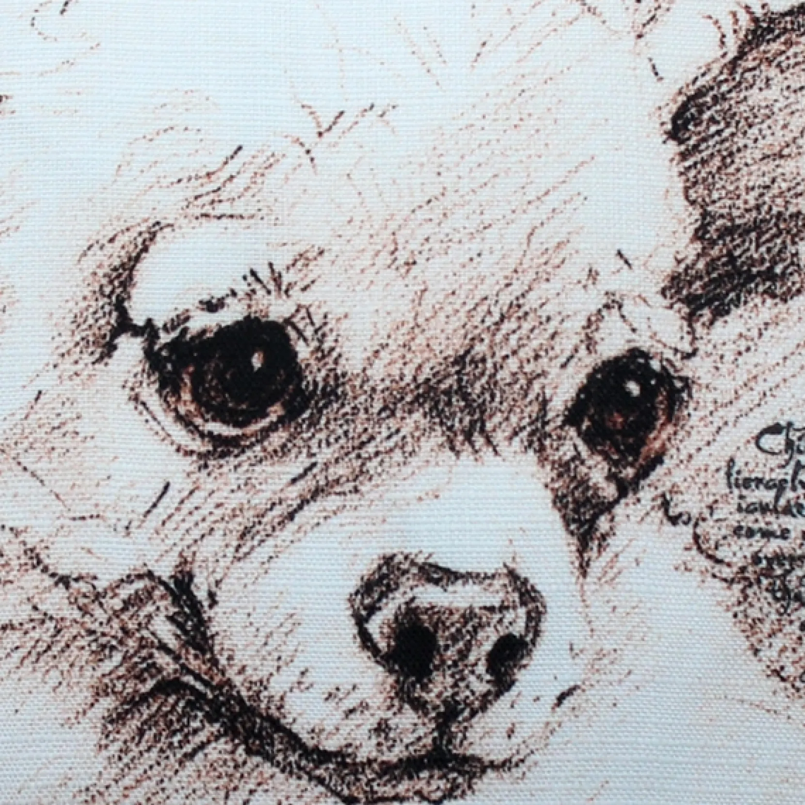 Chihuahua 17x17 Dog Pillow