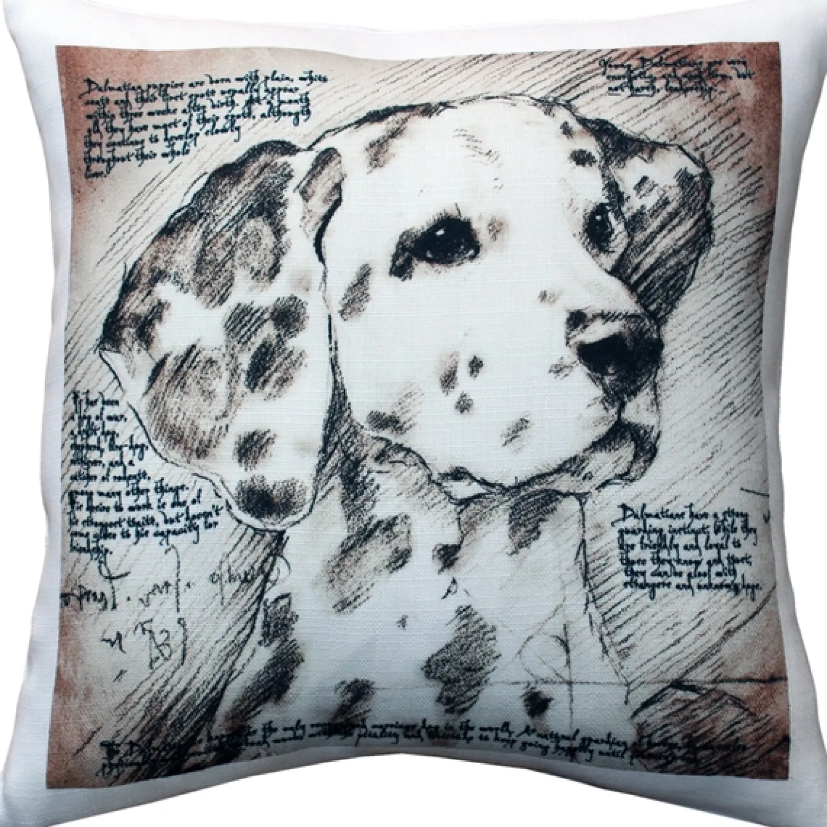 Dalmatian 17x17 Dog Pillow