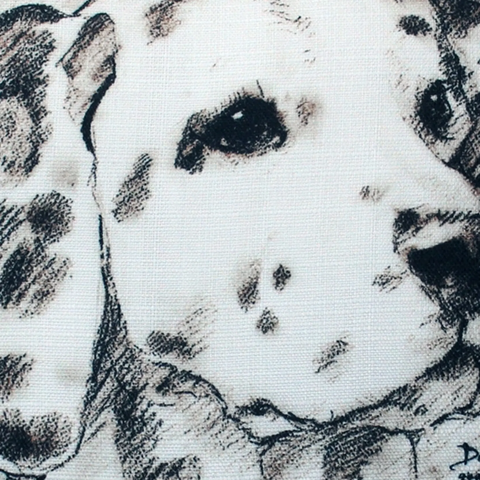 Dalmatian 17x17 Dog Pillow