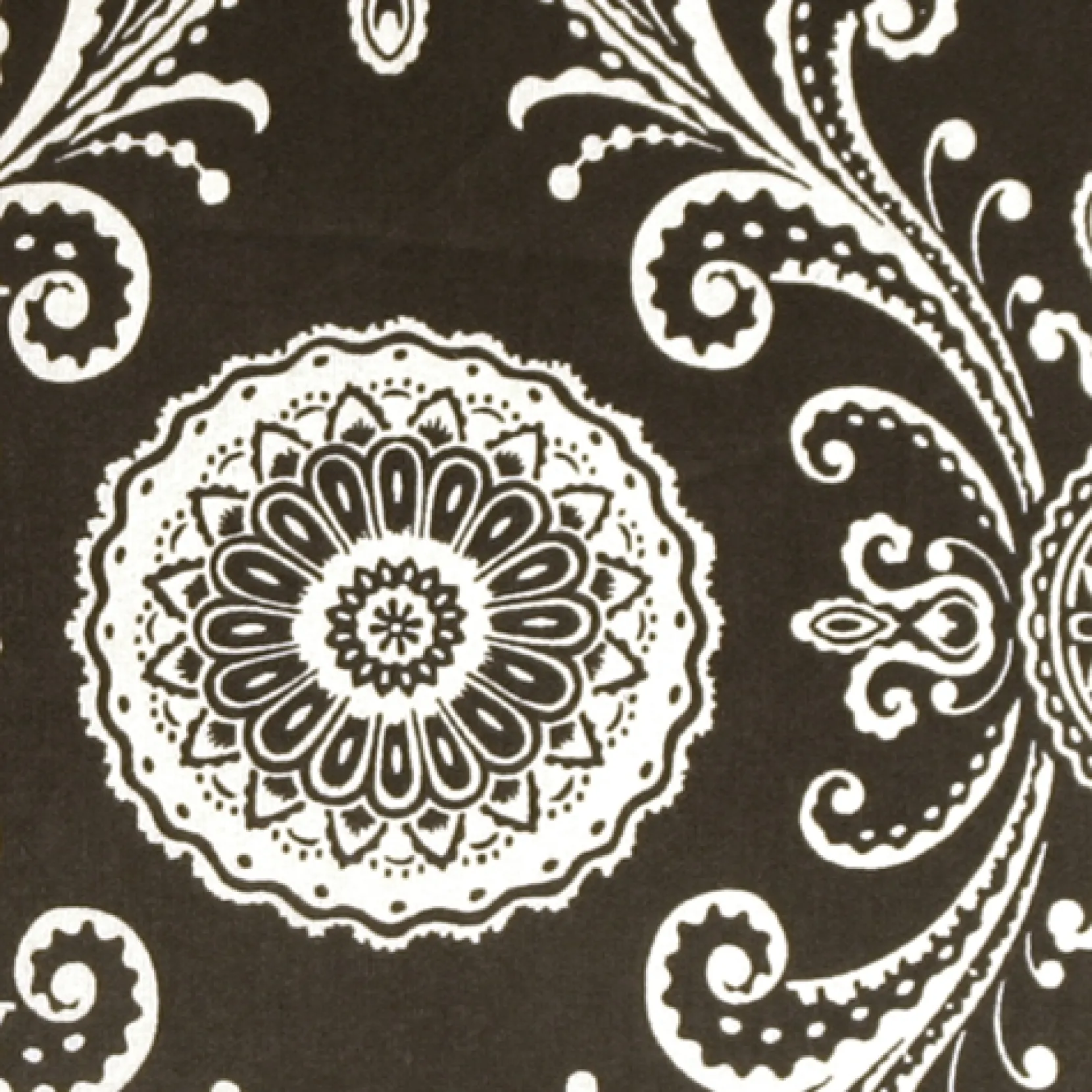 Filigree Black 17x17 Throw Pillow