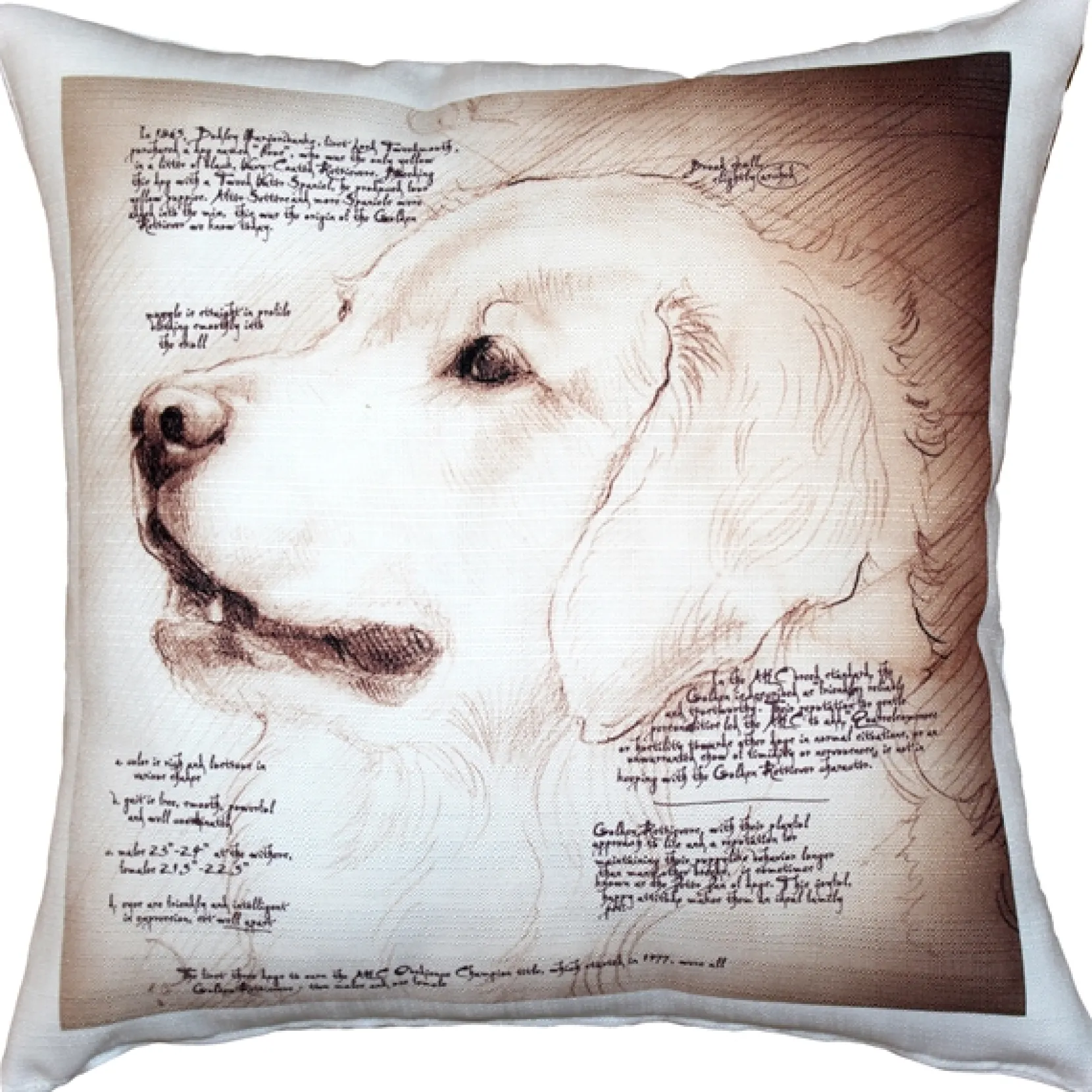 Golden Retriever Dog Pillow 17x17