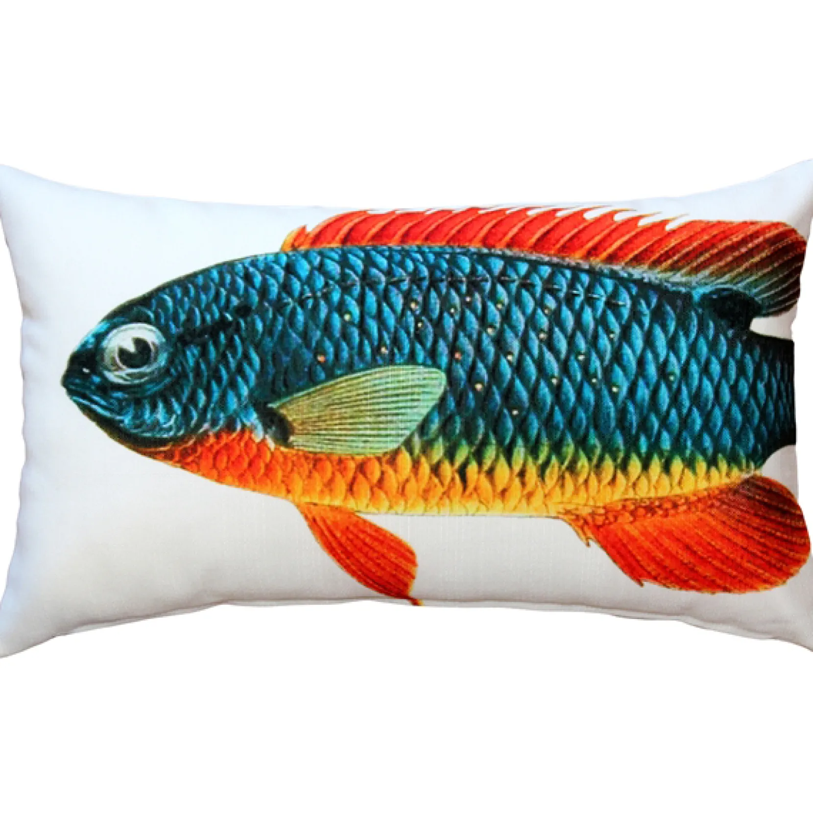 Guppy Fish Pillow 12x19