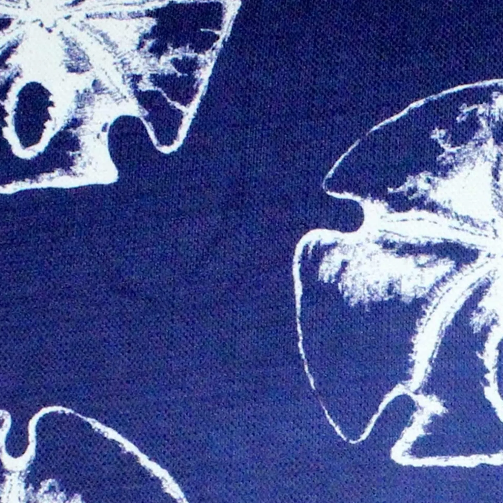 Hilton Head Sand Dollar Large Pattern Pillow 20x20