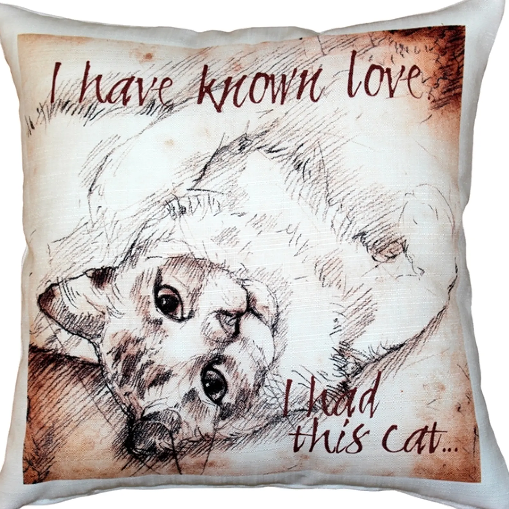 I Have Known Love Cat Pillow 17x17