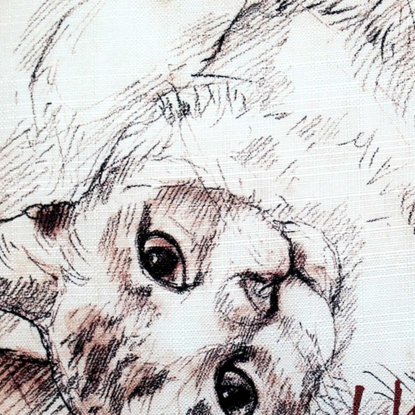 I Have Known Love Cat Pillow 17x17