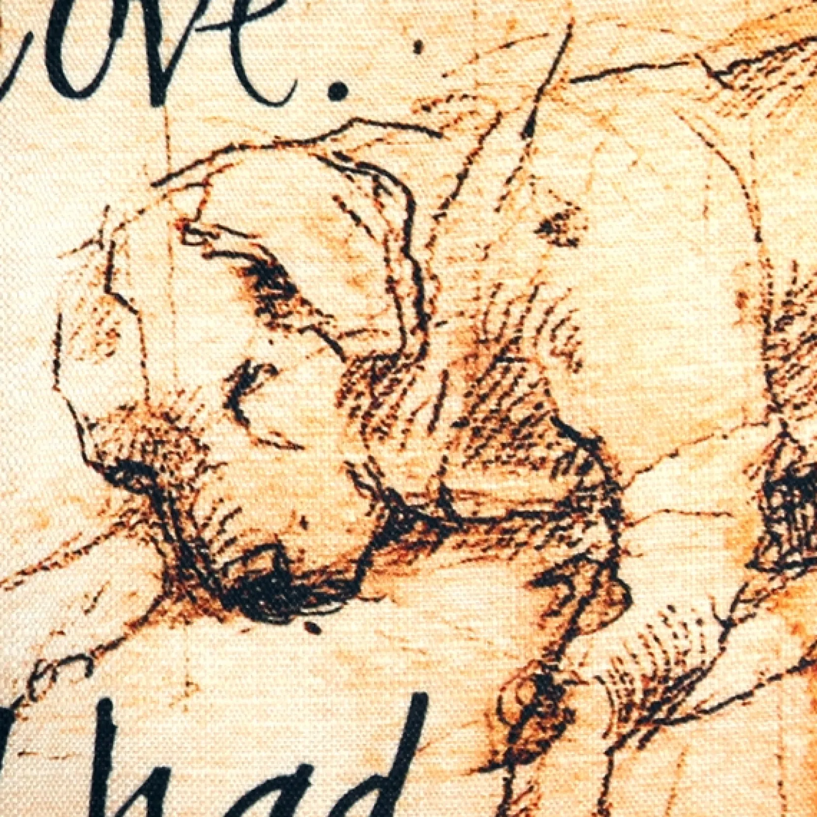 I have Known Love Sleeping Lab 17x17 Dog Pillow