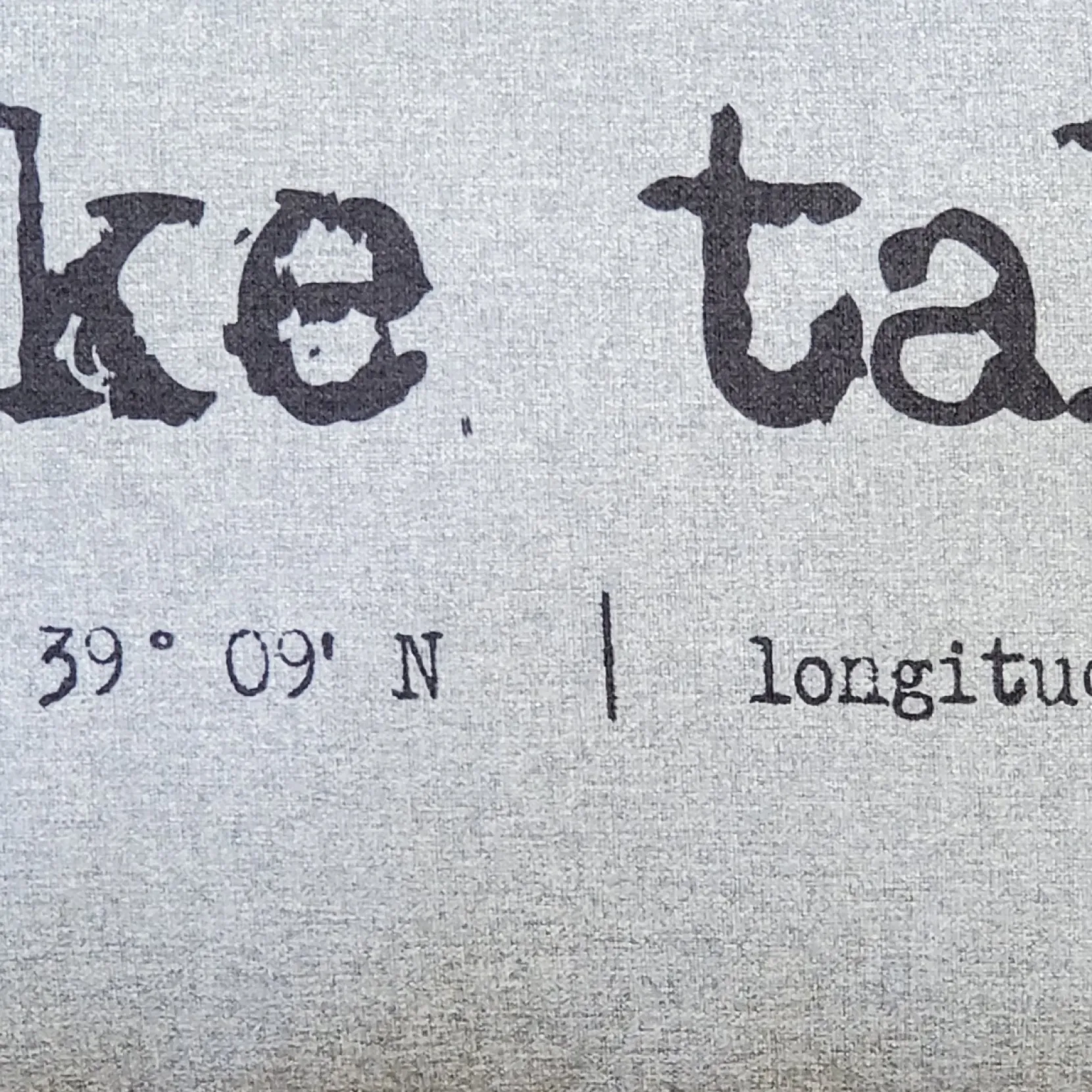 Lake Tahoe Gray Felt Coordinates Pillow 12x19