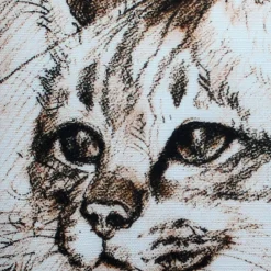 Maine Coon 17x17 Cat Pillow