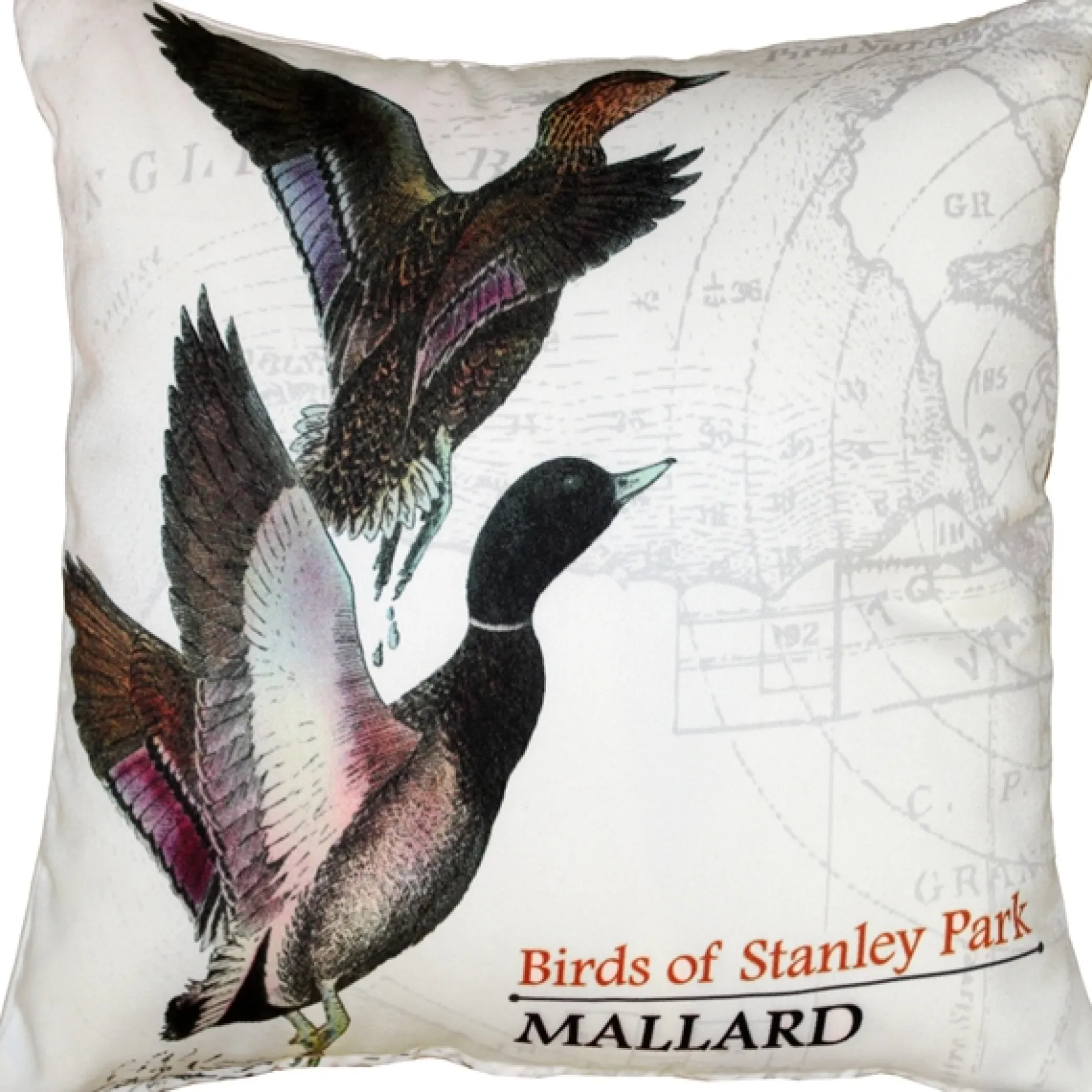 Mallard Bird Pillow 18X18