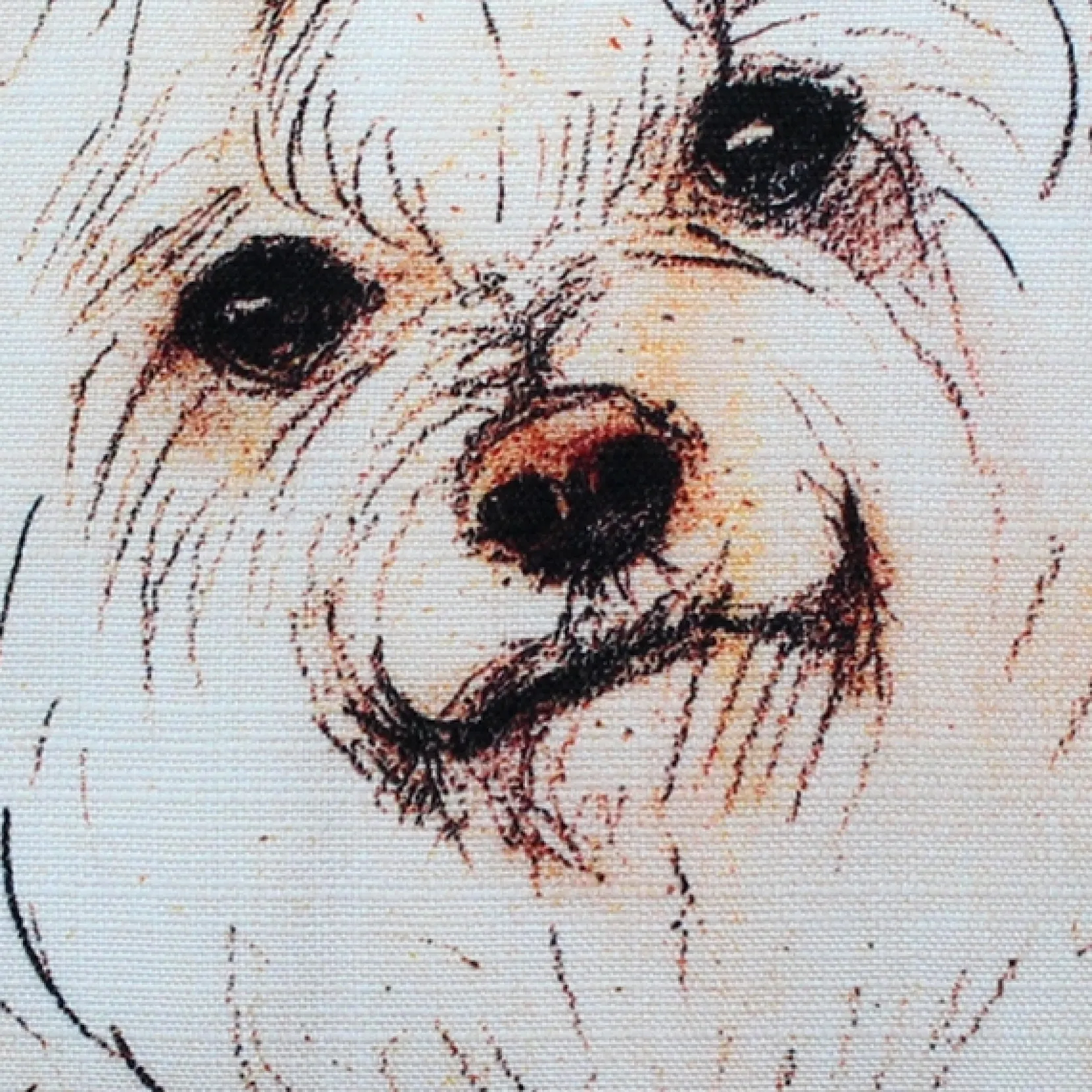 Maltese 17x17 Dog Pillow