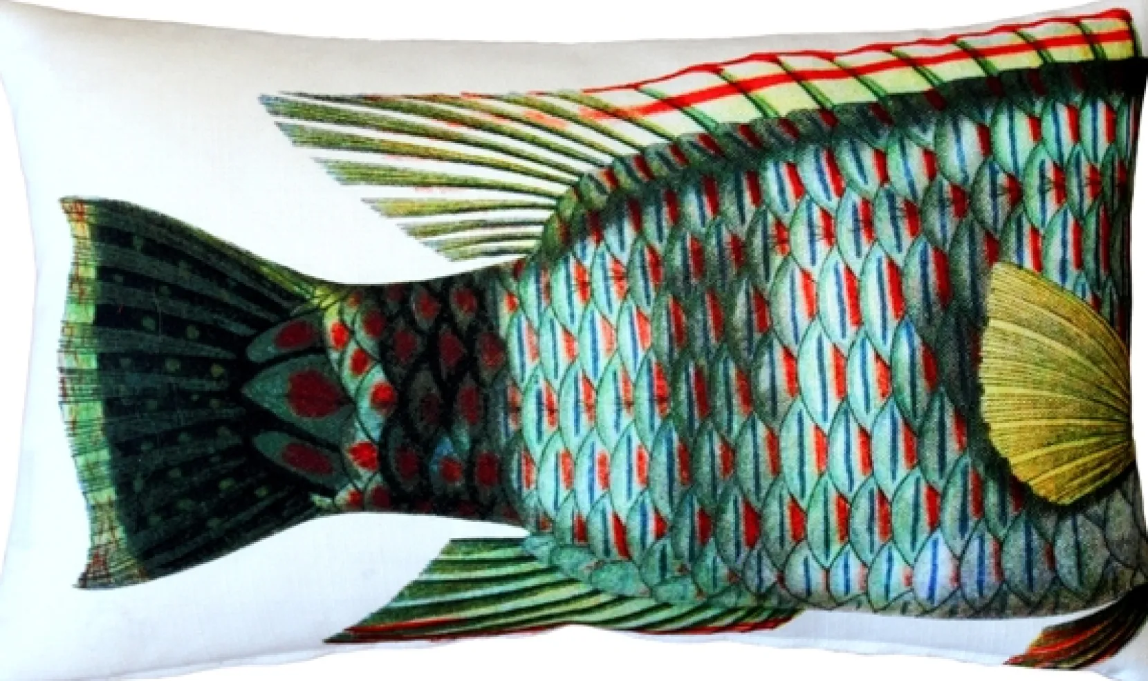 Maori Wrasse Fish Pillow 12x19