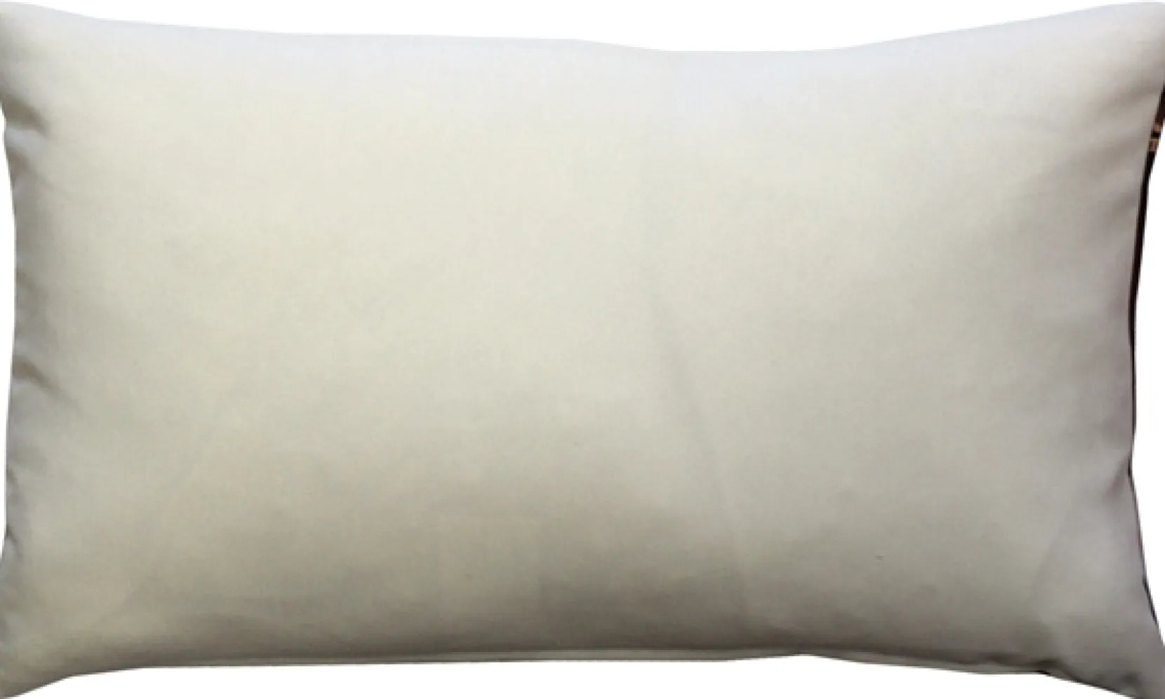 Musical Instruments Throw Pillow 12x19