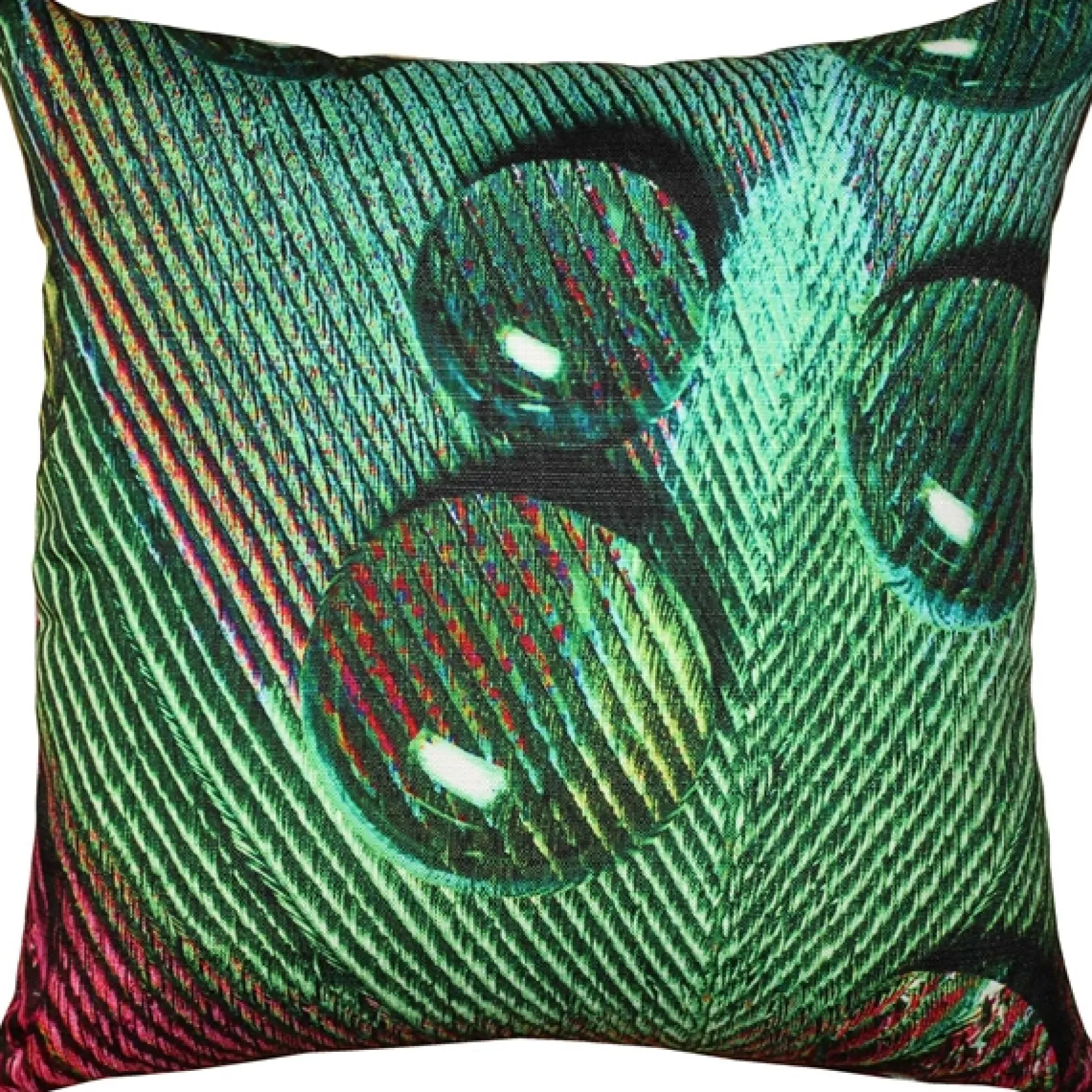 Peacock Splash GYR Throw Pillow 20x20