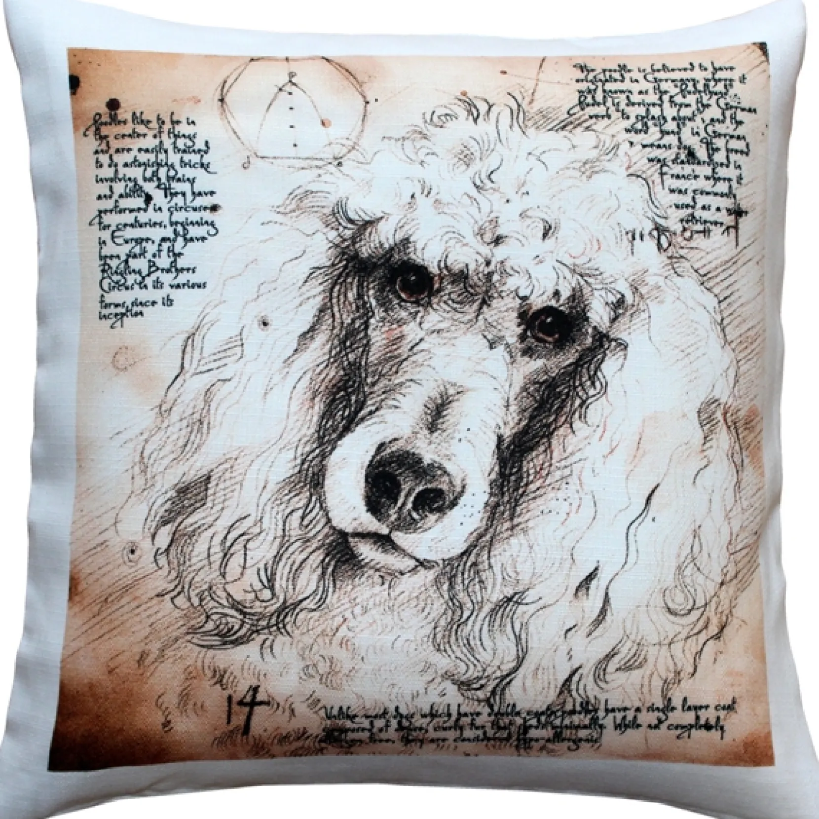 Poodle 17x17 Dog Pillow