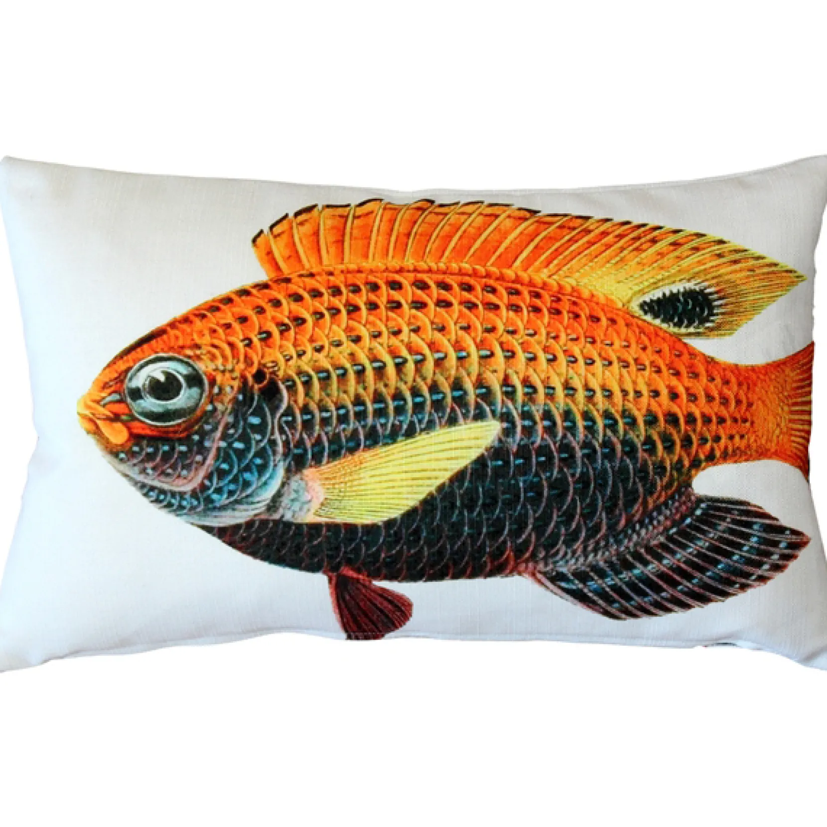 Princess Damselfish Fish Pillow 12x19