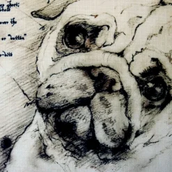Pug 17x17 Dog Pillow