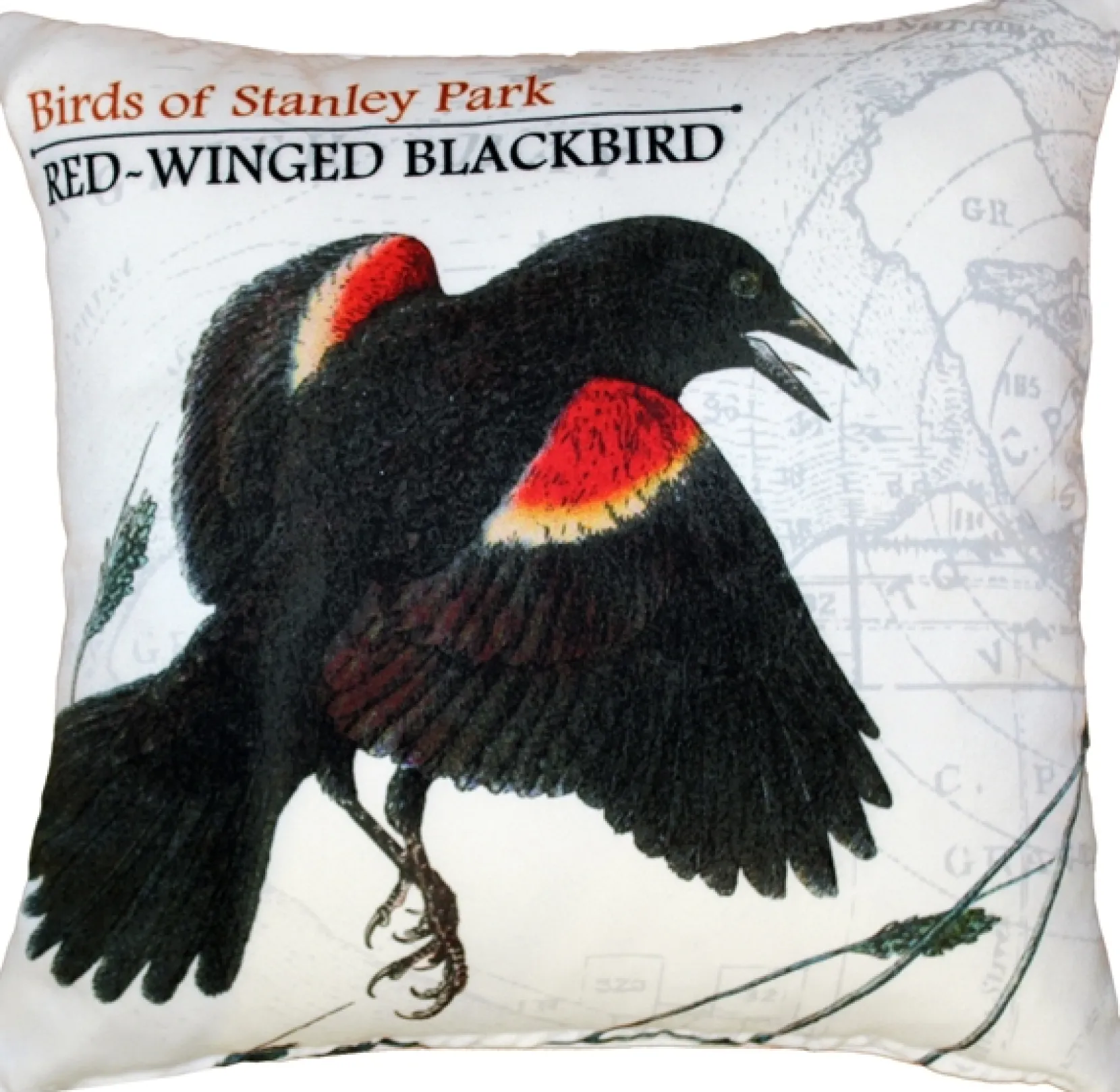 Red-Winged Black Bird Pillow 18X18