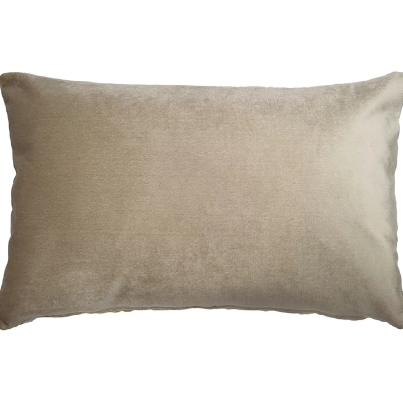 Rochelle Vanilla Paisley Velvet Pillow 12x20