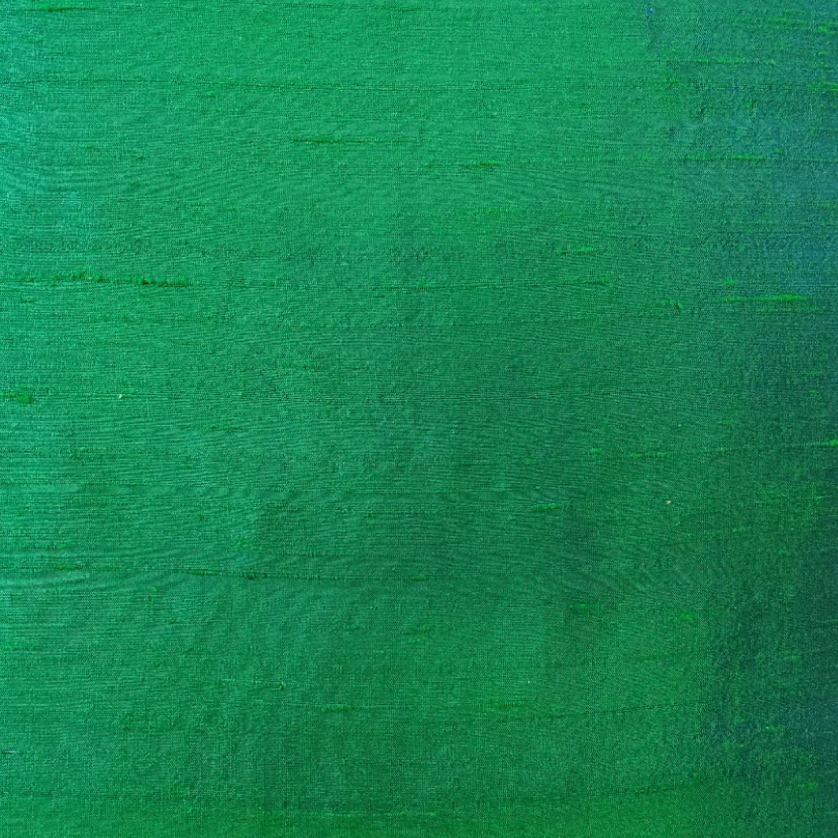 Sankara Emerald Green Silk Throw Pillow 18x18