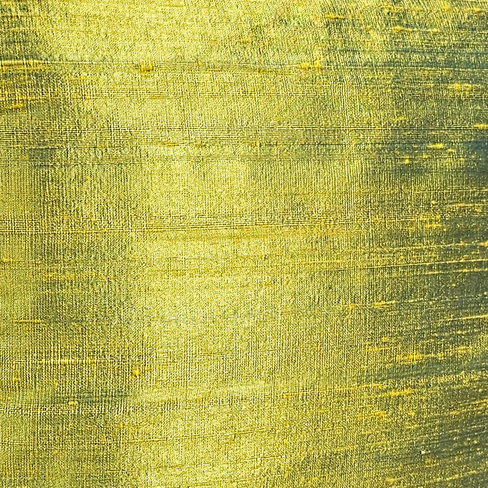 Sankara Iridescent Lime Silk Throw Pillow 16x16