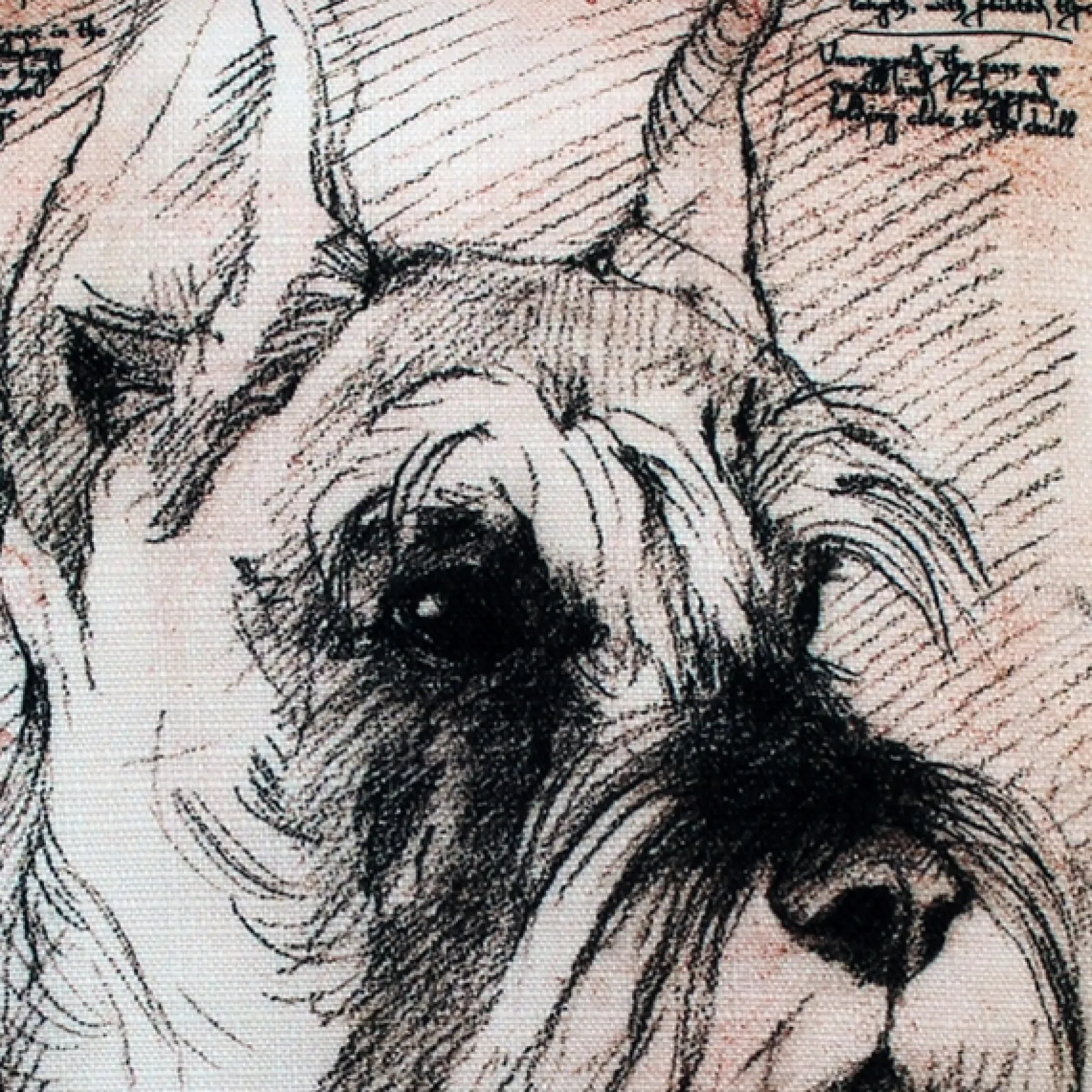 Schnauzer Cropped Ears Dog Pillow 17x17