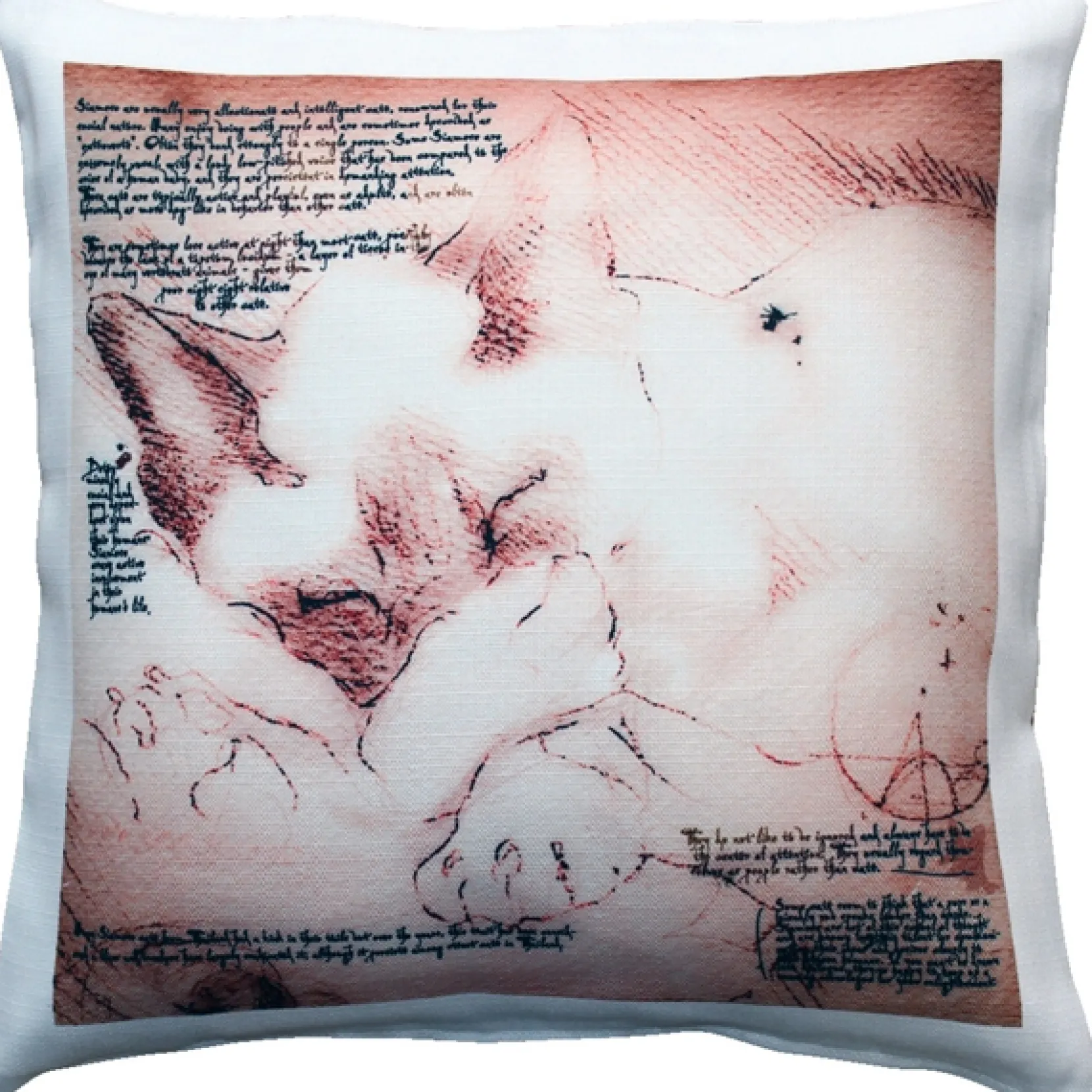 Sleeping Siamese Cat Pillow 17x17
