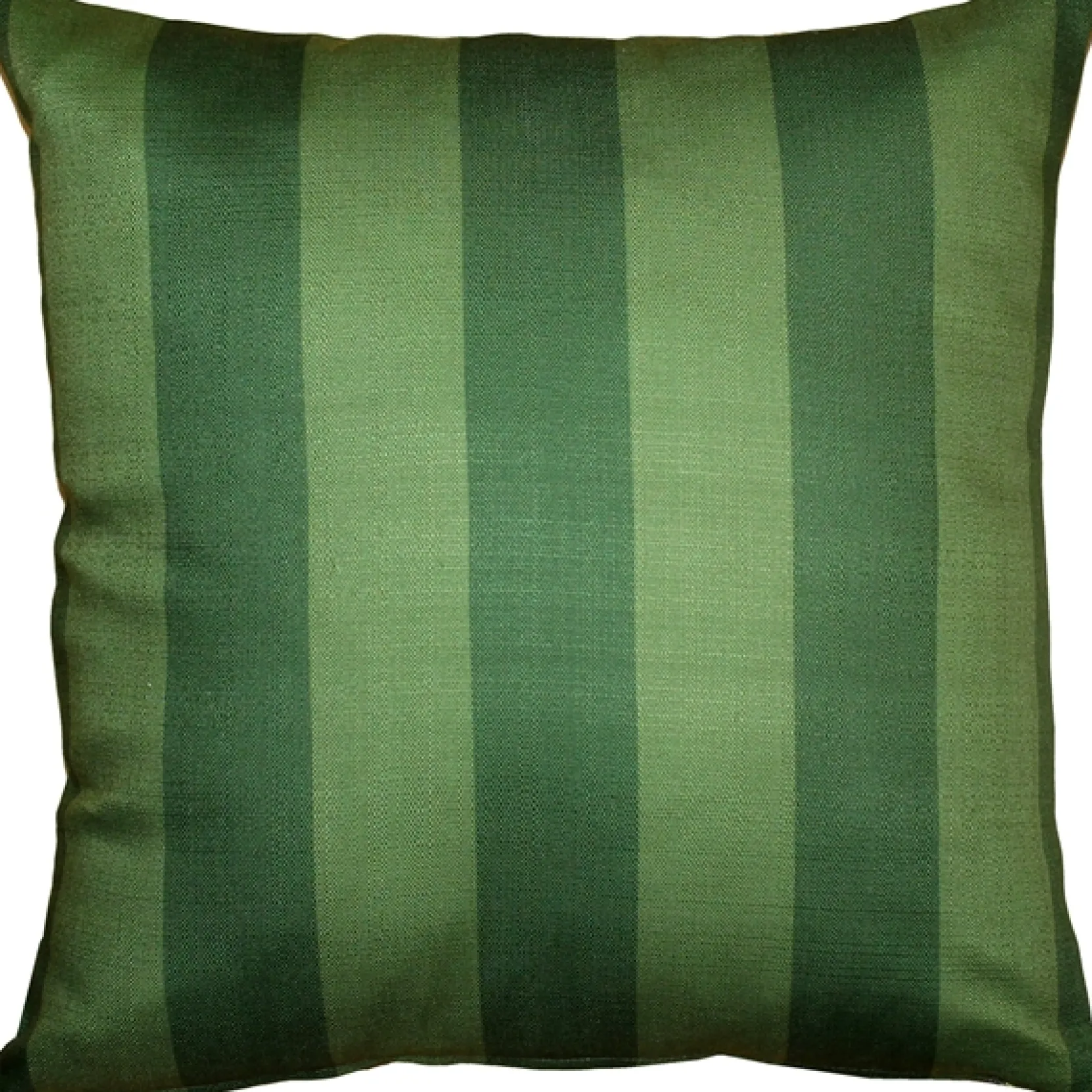 Summer Vine 20x20 Throw Pillow