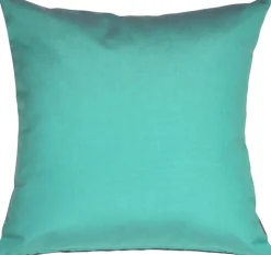 Sunbrella Aruba Turquoise Blue 20x20 Outdoor Pillow
