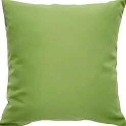 Sunbrella Ginko Green Outdoor Pillow 20x20