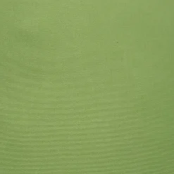 Sunbrella Ginko Green Outdoor Pillow 20x20