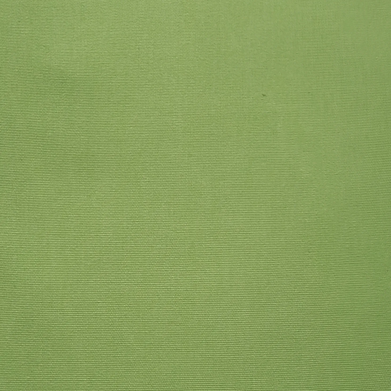 Sunbrella Ginko Green Outdoor Pillow 12x19