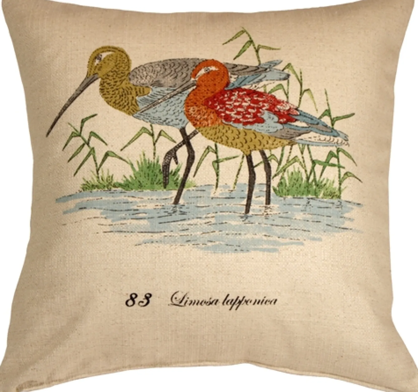 Wading Birds 20x20 Throw Pillow