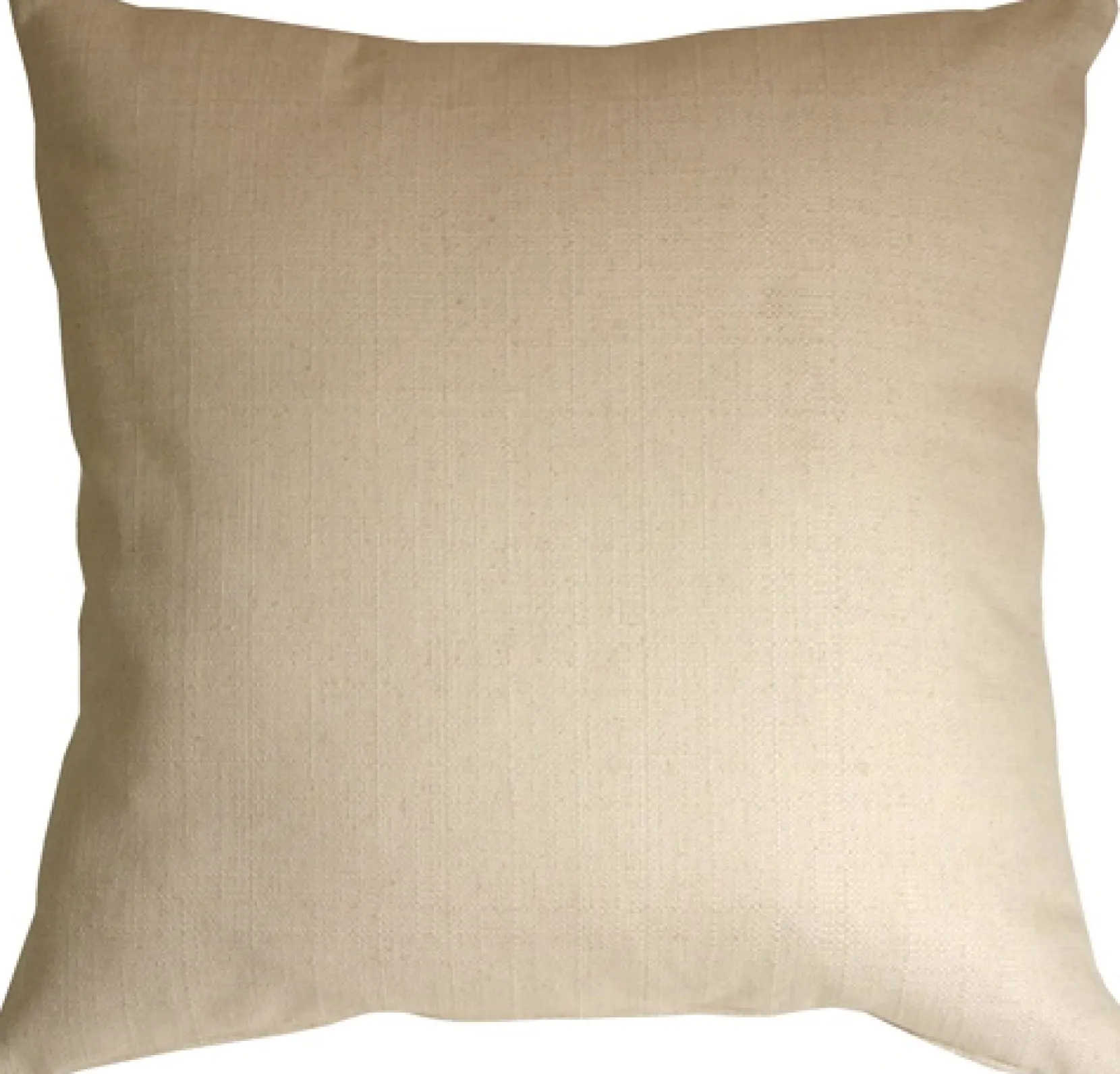 Wading Birds 20x20 Throw Pillow
