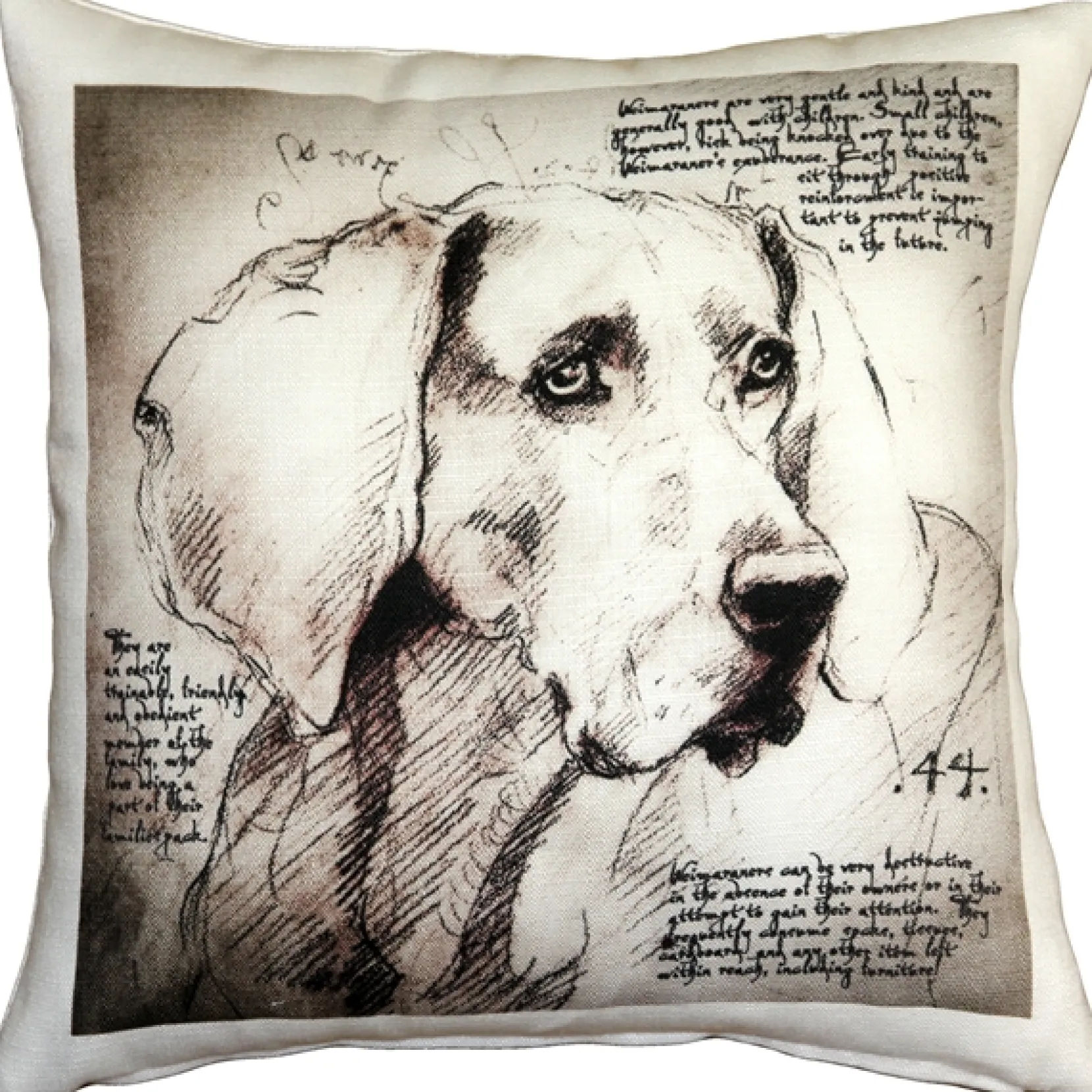 Weimaraner 17x17 Dog Pillow