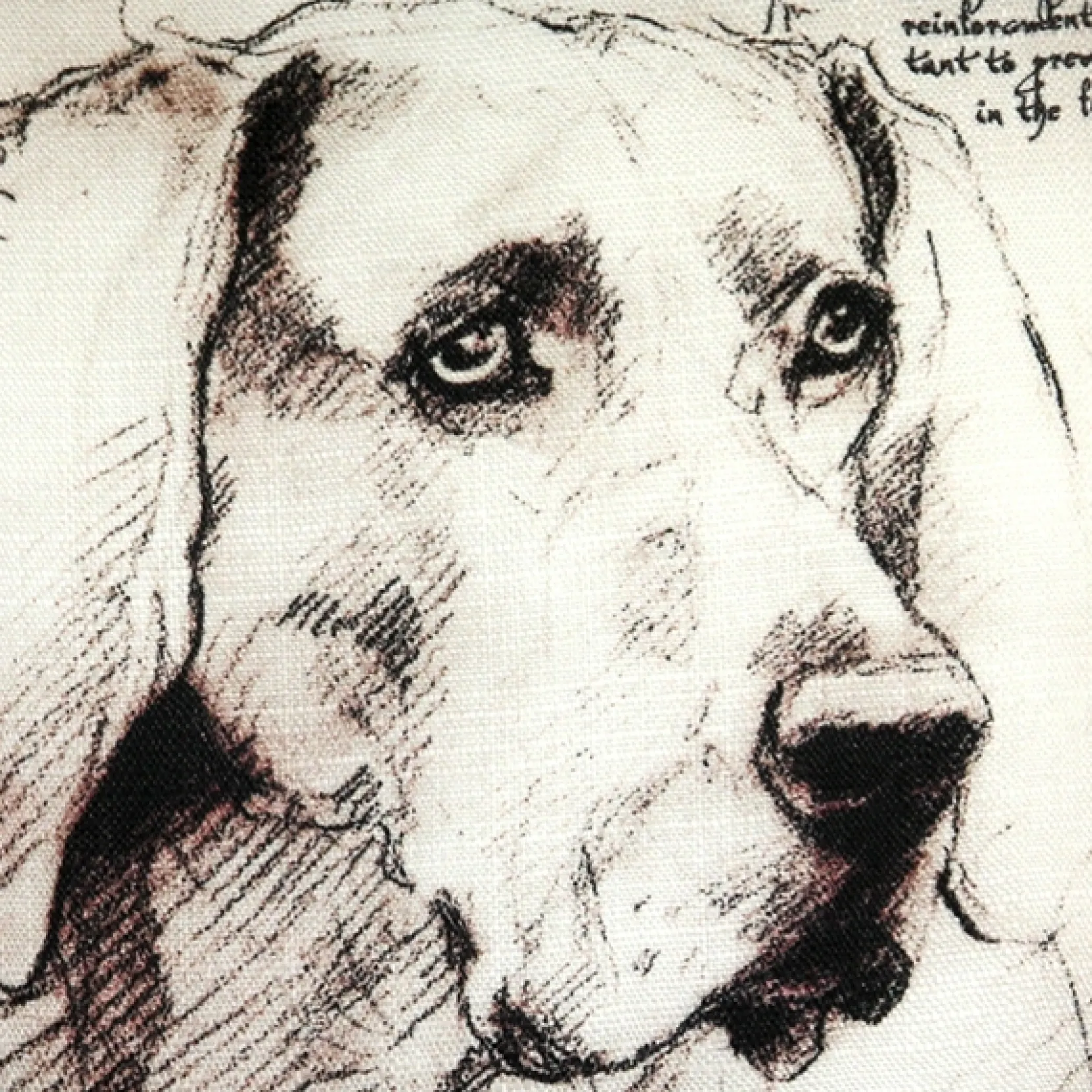 Weimaraner 17x17 Dog Pillow