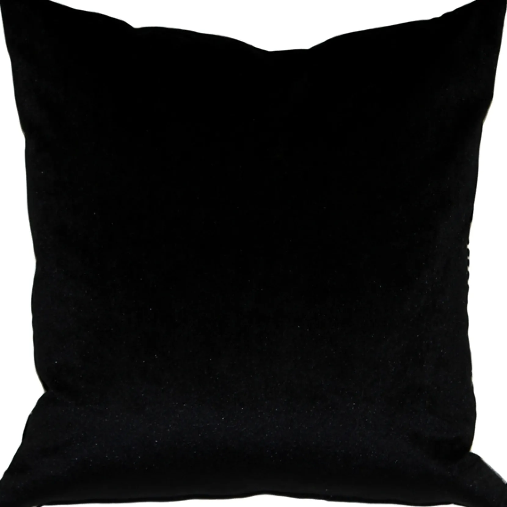 Winter Flock Black and White Throw Pillow 20x20