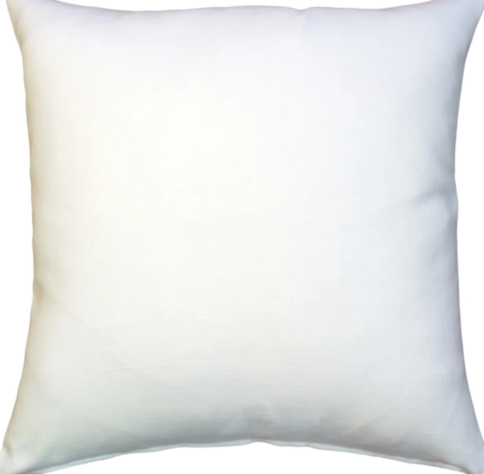 Woodward's Records and Music Throw Pillow